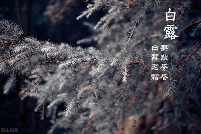 白露的谚语有哪些，有关白露的谚语