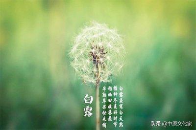 白露的谚语有哪些，有关白露的谚语