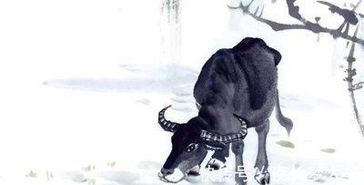 知足常乐猜生肖 容易感到满足的是哪些生肖