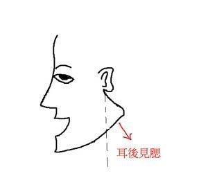 看下巴面相解读人生 下巴面相怎么看
