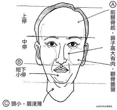 看五官面相知道命运 鼻子看面相女人知道命运