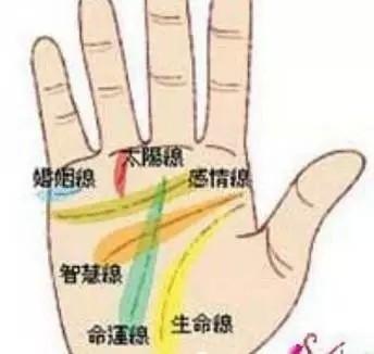 看手相一个女人有没有财运 女人财运好有什么手相特点