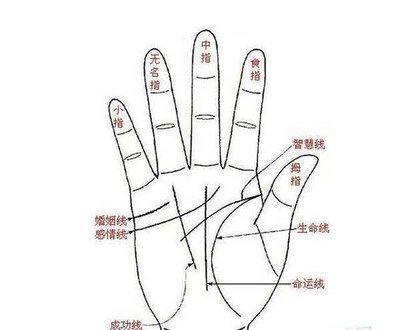 看手相知命运 怎么通过手相看一个人的一生