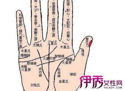 看手相预知你的财运 怎么通过手相看财运
