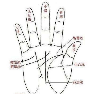 看男人的婚姻手相图解哪些人婚姻幸福