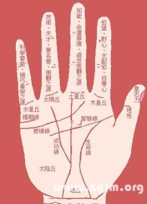 看男人的婚姻手相图解哪些人婚姻幸福