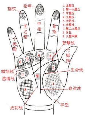 看相学中早死的手相 哪几种手相的人容易短命