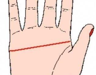 看看有这种手相的人天生就是老板命的命格 看看有这种手相的人天生就是老板命的命格