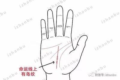 相学：从命运线预测你这辈子是什么命 你有几条生命线