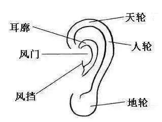 看耳朵面相知道命运好不好 耳朵面相详细分析