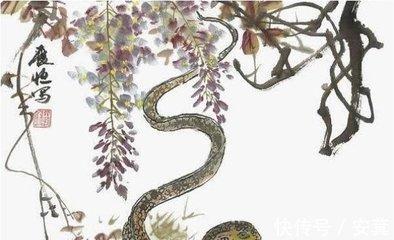 福气之蛇正月出生运势怎么样 正月出生的生肖蛇命好吗 福气之蛇正月出生运势怎么样 正月出生的生肖蛇命好吗