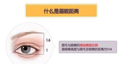 眉压眼的人运气好吗 分析眉压眼面相