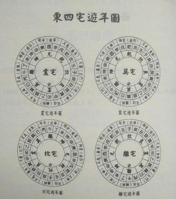 离命东四命什么意思(什么叫离命,东四命)