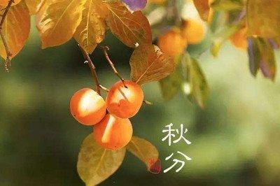 秋分是什么时候秋分是什么意思秋分吃什么
