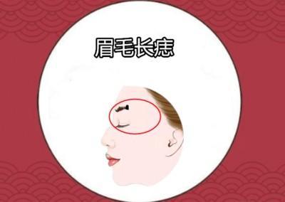 眉毛上面的痣代表什么 眉毛长痣怎么说