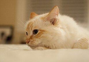 真正薄情寡义的人 面相有这些特征的人薄情寡义 真正薄情寡义的人 面相有这些特征的人薄情寡义