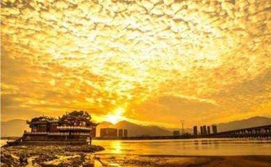 真诚和忠诚的是什么生肖 为人很忠诚