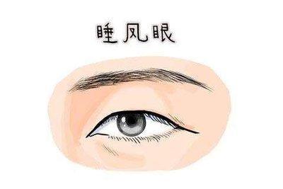 眼尾上扬的眼睛叫什么 分析眼尾上扬面相