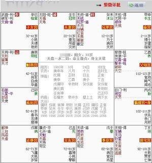 紫薇命盘如何看(紫微斗数怎么解读)