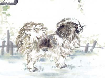 肖百奇2025年9月属狗者运势精华版