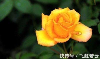 胆子不大做事顾虑太多的4大生肖