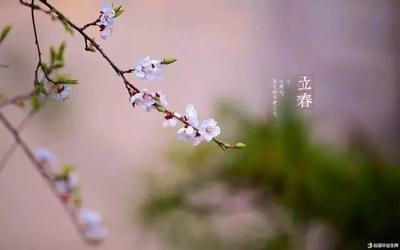 立春是什么时候立春是什么意思