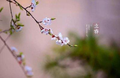 立春是什么时候立春是什么意思