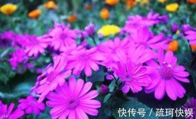 结婚后能转运的女人面相 婚后的发展特别好