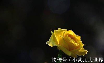 胸无大志是什么生肖 哪些生肖的人没有大志