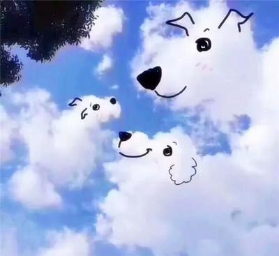 老实人最多的星座 老实本分做人的人