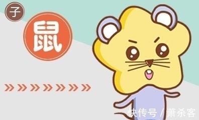 能够在2025年中迎来工作逆袭的生肖有哪些