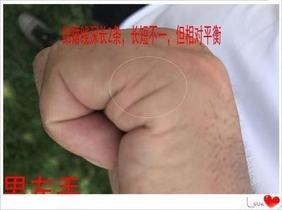 能够得到异性喜爱的手相长啥样异性缘好