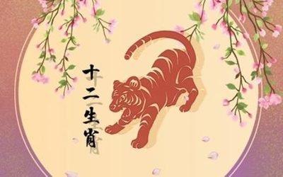 老鼠跟什么属相不合需远离 会带来哪些不利影响