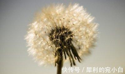 而立之年是多少岁年龄与财运之间的关系