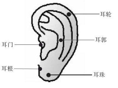 耳朵上各处痣的命运图 耳朵有痣说明了啥