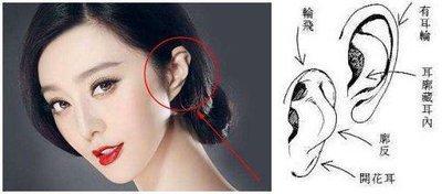 耳朵大面相的女人命运 女的耳朵大好吗