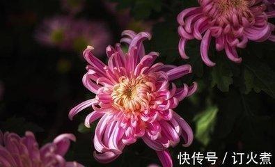 米舍兰2025年7月水瓶座运势完整版