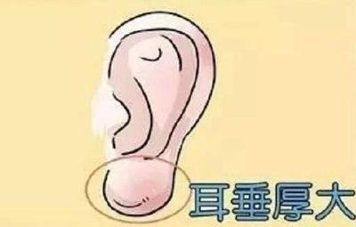 耳朵形状与命运图解(女人耳朵的形状与命运)