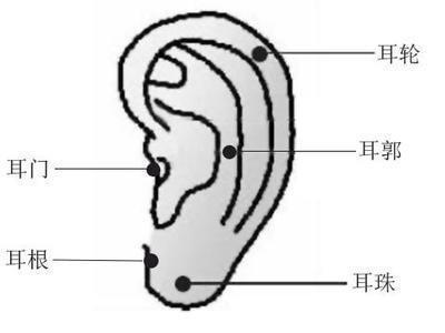 耳朵有痣的命运图解 耳朵长痣的人一生运势解读 耳朵有痣的命运图解 耳朵长痣的人一生运势解读