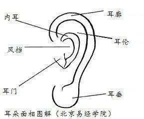 耳朵福气图 这几种耳朵面相的人有福气
