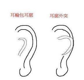 耳朵面相从耳朵看一个人的运势好不好