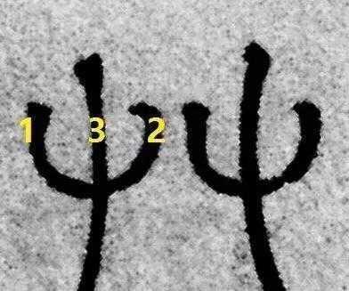 草字头的女孩名字,草字头的字女孩名字 草字头的女孩名字,草字头的字女孩名字