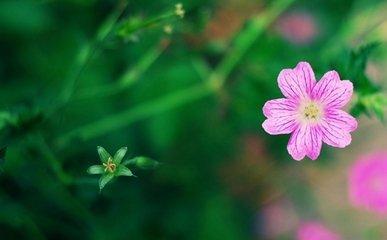 脾气坏的面相特征最好远离 这些人不要接触