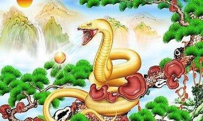 脾气急的生肖是 什么生肖的脾气最暴躁