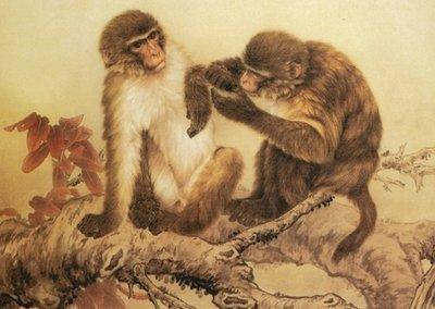 腊月出生属猴人的命运是好还是不好