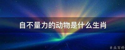 自不量力猜生肖 什么生肖的人会不自量力