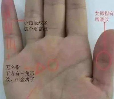 自主创业容易取得成功的3种手相属于商业奇才