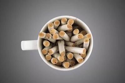 自制力超强 不会放纵自己的生肖性格