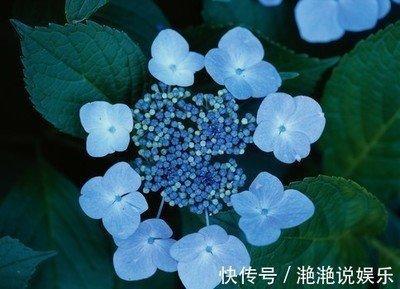 自己命不好，如何增强运气娶个有旺夫命的生肖女