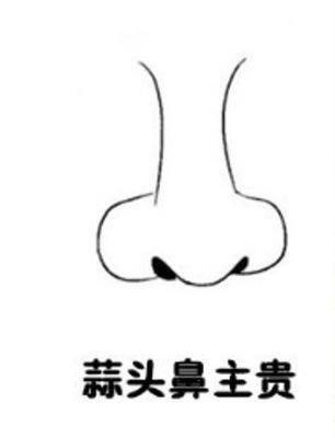 蒜头鼻面相解析 有什么样的命运面相解析